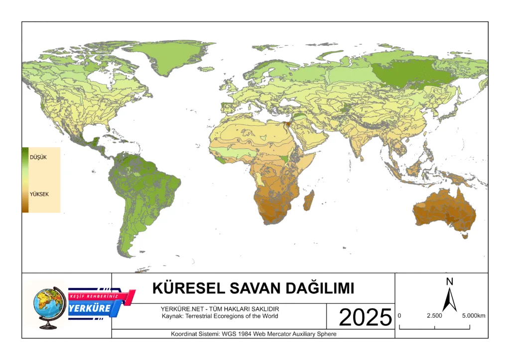 Küresel Savan Dağılımını gösteren harita - izinsiz kullanılamaz
